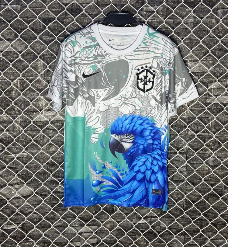 Brazil 25/26 special edition jersey